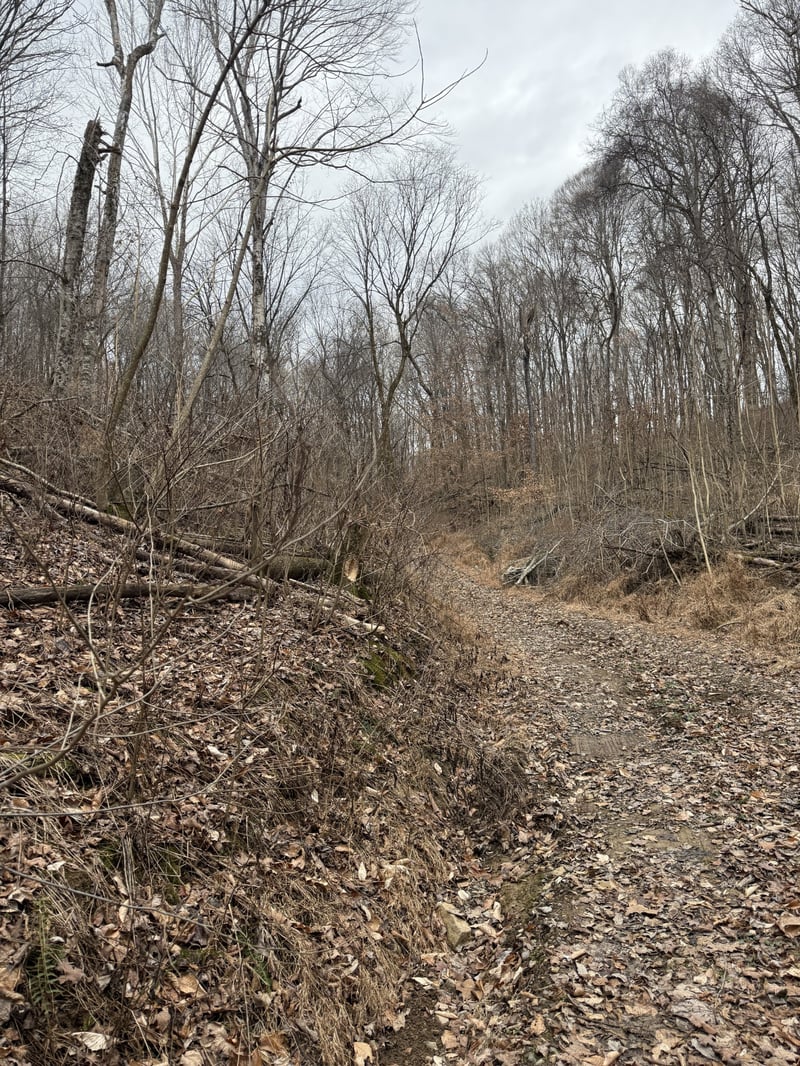 1843D Garrison Branch Rd Lot 2, Cottontown, TN 37048
