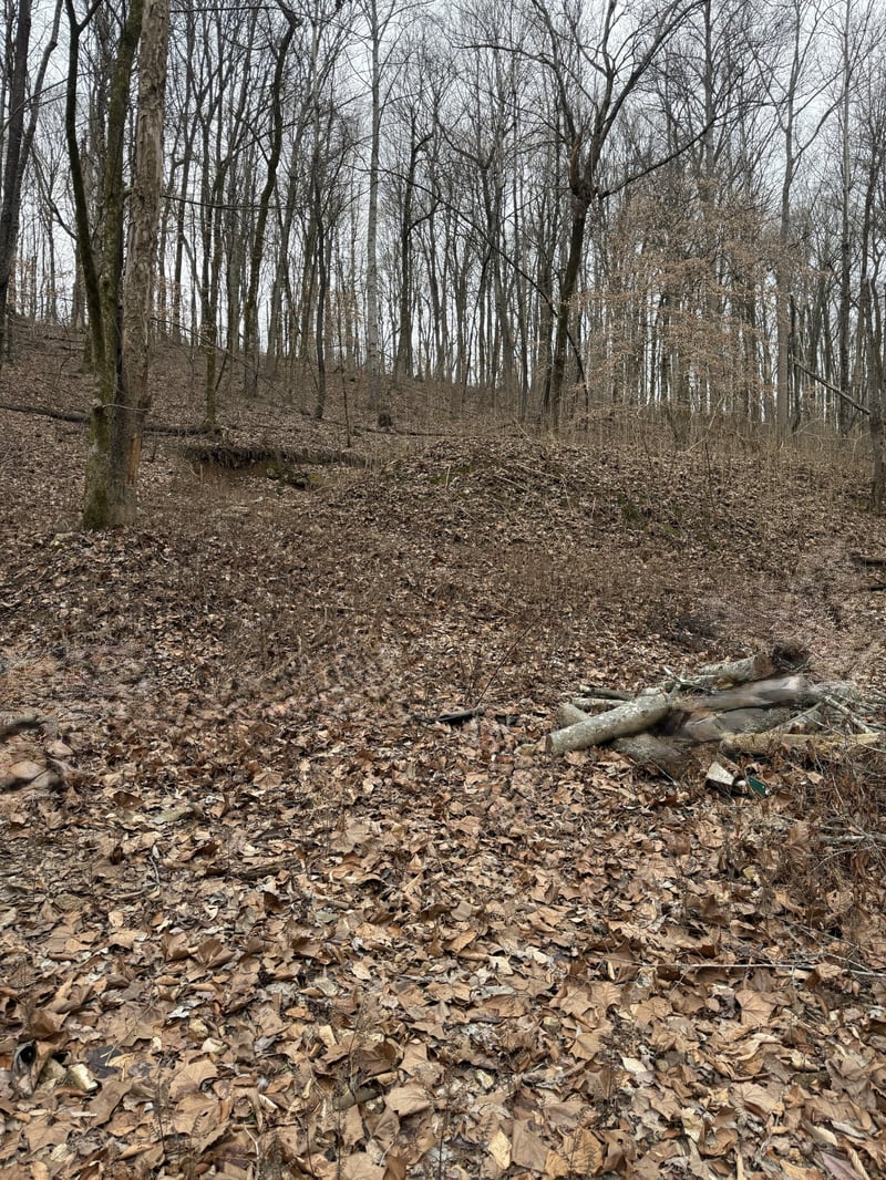 1843D Garrison Branch Rd Lot 2, Cottontown, TN 37048