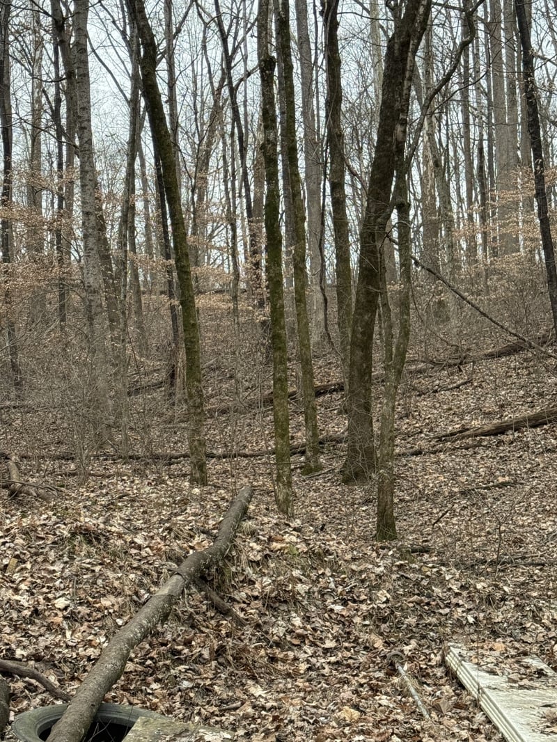 1843D Garrison Branch Rd Lot 2, Cottontown, TN 37048