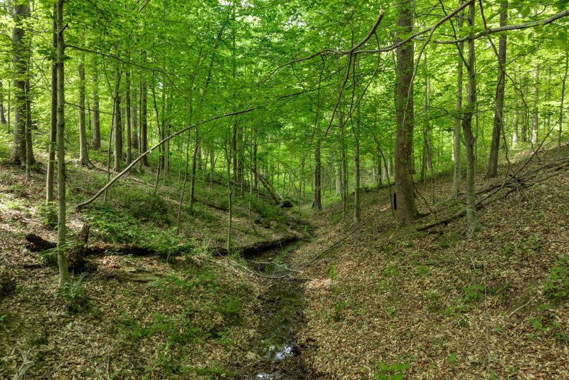 5675 Natchez Trace Rd, Franklin, TN 37064