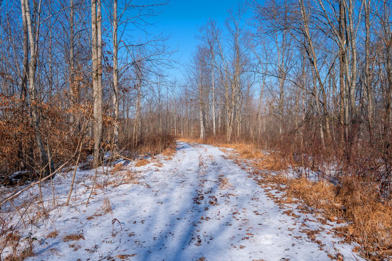 5290 Bedford Creek Rd Lot 1, Franklin, TN 37064