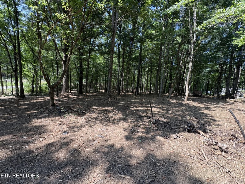 8188 E Town Creek Rd, Lenoir City, TN 37772