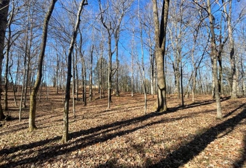 1875 Bakers Grove Rd, Hermitage, TN 37076