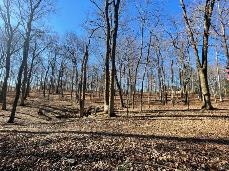 1875 Bakers Grove Rd, Hermitage, TN 37076