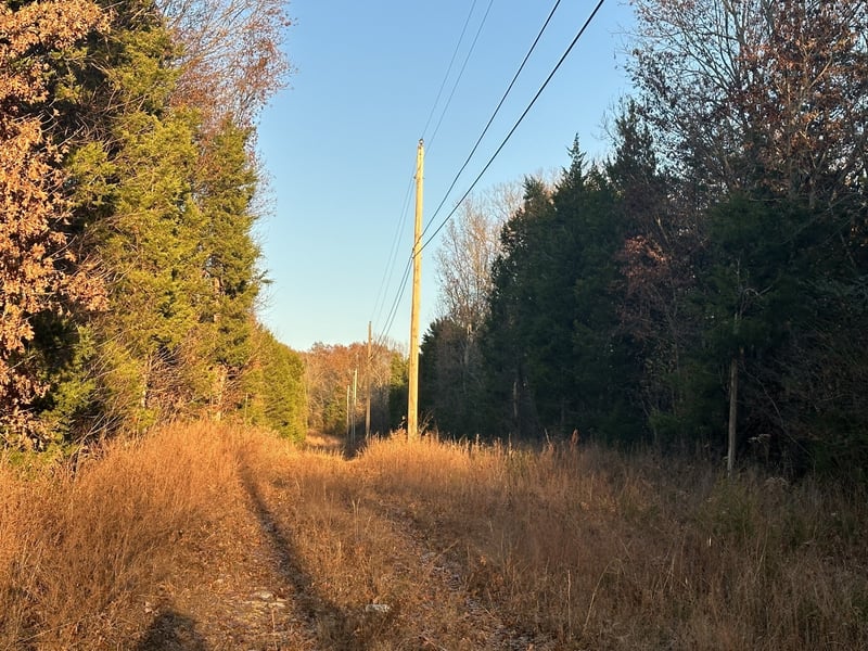 0 Owl Hollow Rd, Franklin, TN 37064