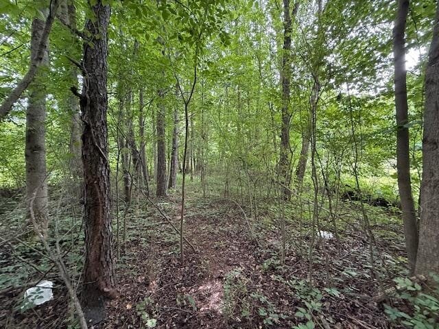 0 Ne Keith Valley Rd, Cohutta, GA 30710