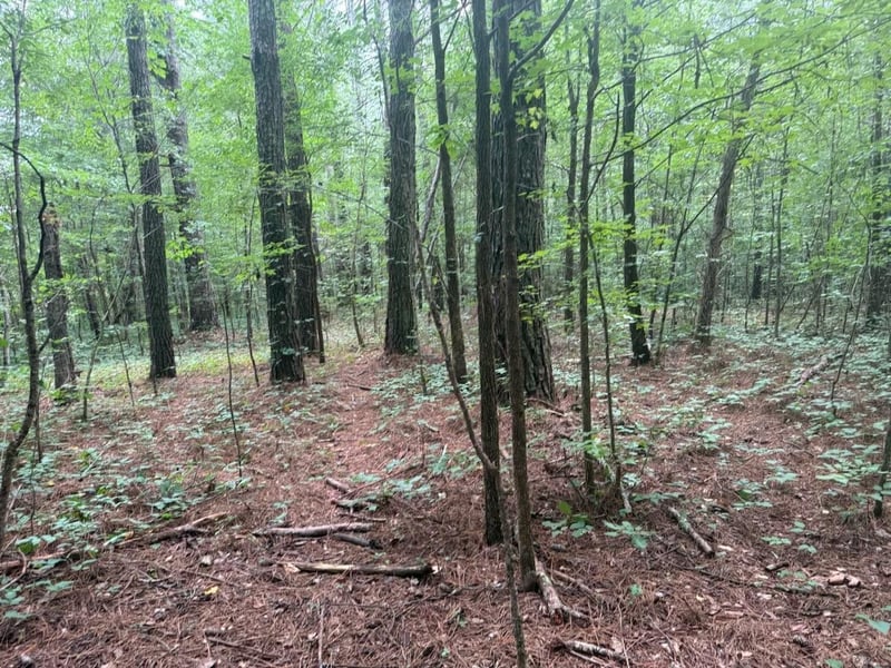 0 Ne Keith Valley Rd, Cohutta, GA 30710