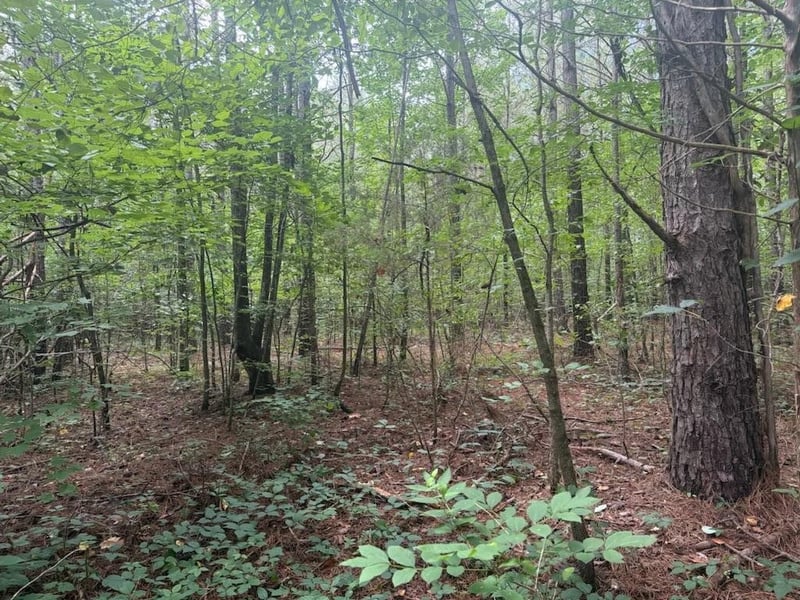 0 Ne Keith Valley Rd, Cohutta, GA 30710