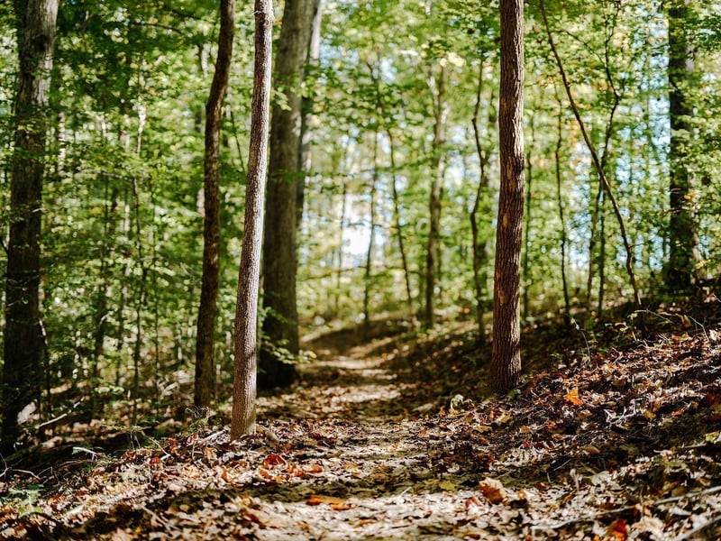 0 Pinewood Rd Lot 213, Franklin, TN 37064