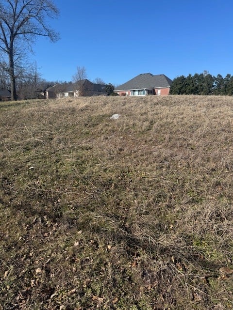 0 Bonifay Dr Lot 81-83, Smyrna, TN 37167