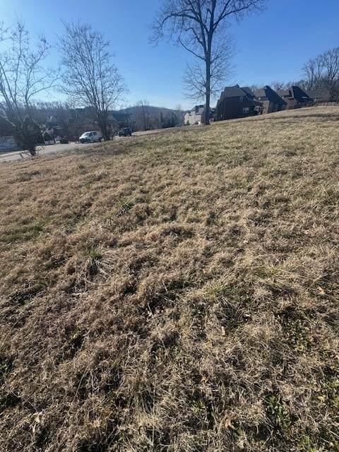 0 Bonifay Dr Lot 81-83, Smyrna, TN 37167
