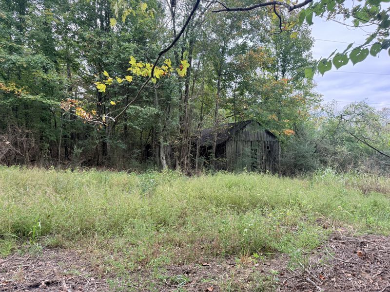 0 Scott Branch Rd, Hampshire, TN 38461