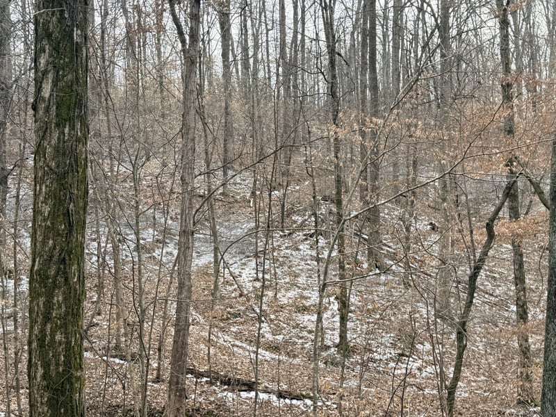 0 Scott Branch Rd, Hampshire, TN 38461