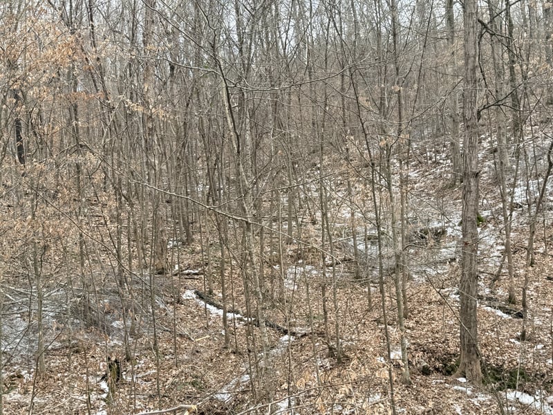 0 Scott Branch Rd, Hampshire, TN 38461