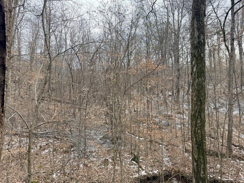 0 Scott Branch Rd, Hampshire, TN 38461