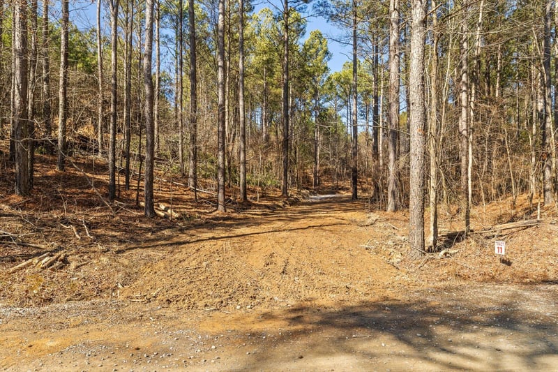 11 Conniston Rd, Chatsworth, GA 30705