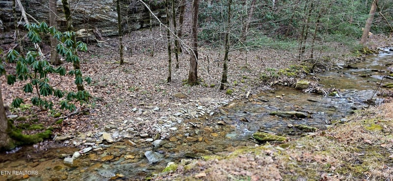 0 N Clear Fork Rd Lot 0002, Sevierville, TN 37862