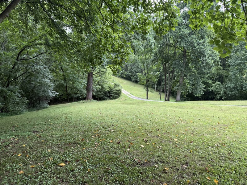6437 Peytonsville Arno Rd, College Grove, TN 37046