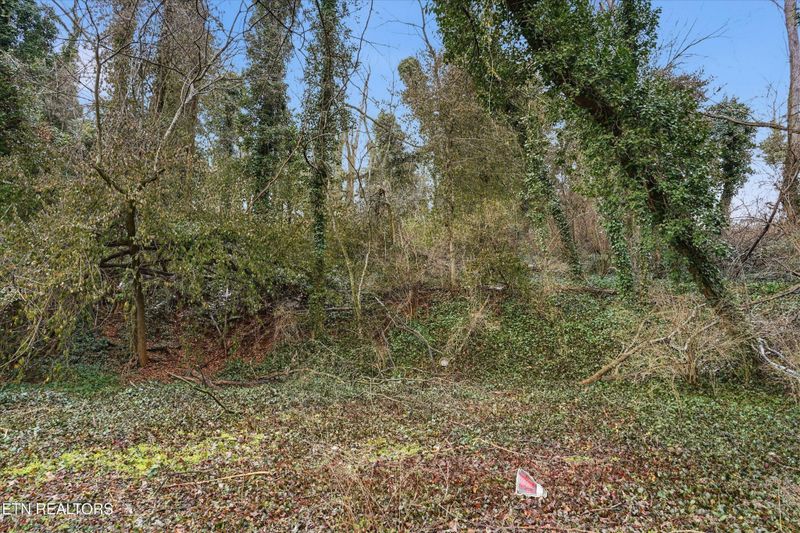 0 Irene Ave Lot 98-101, Knoxville, TN 37920