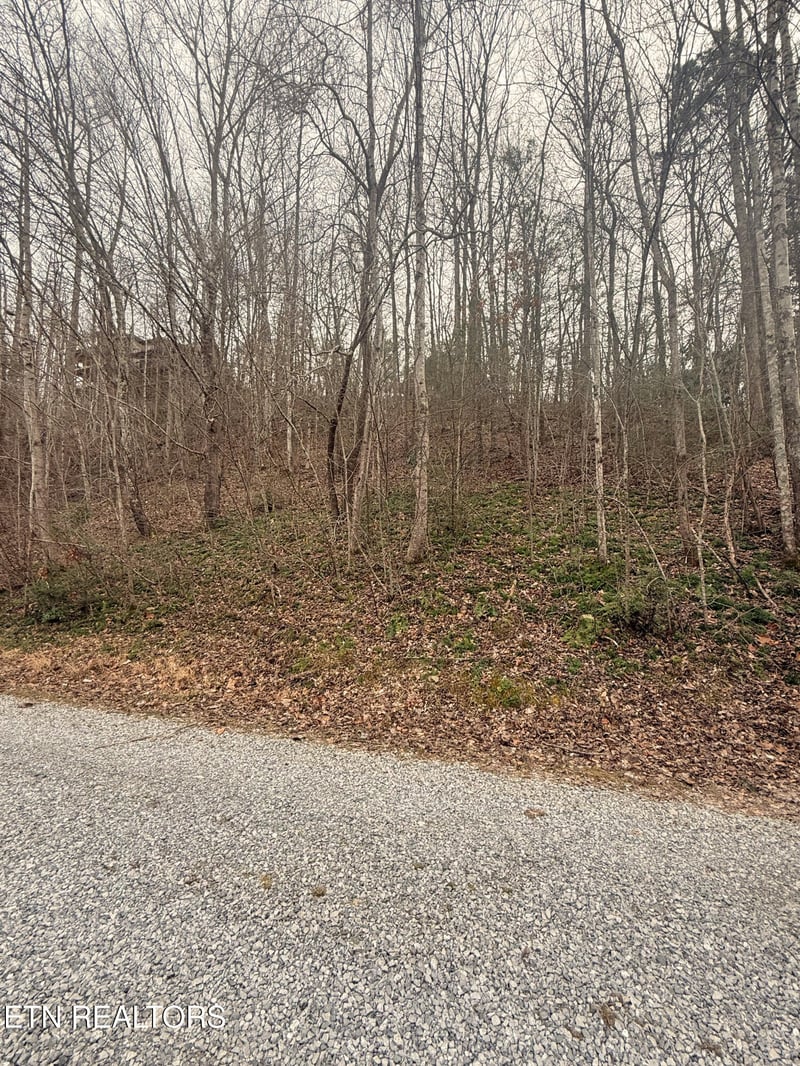0 Lakeview Dr Lot 304, Sevierville, TN 37876