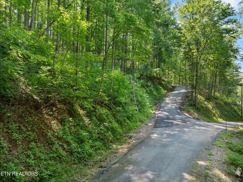 0 Emerald Springs Loop Lot 15, Sevierville, TN 37862