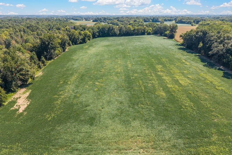 8127 Pleasant Hill Rd, Cross Plains, TN 37049