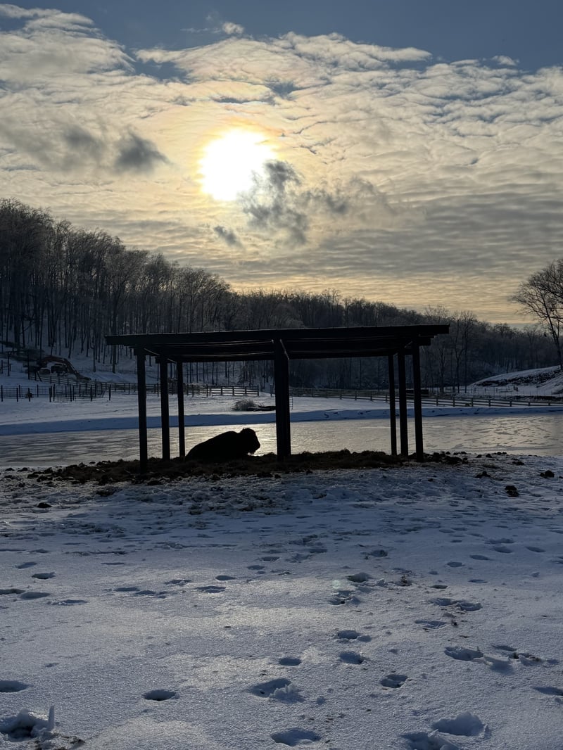 1500 Eagle Ps Lot 12, Joelton, TN 37080