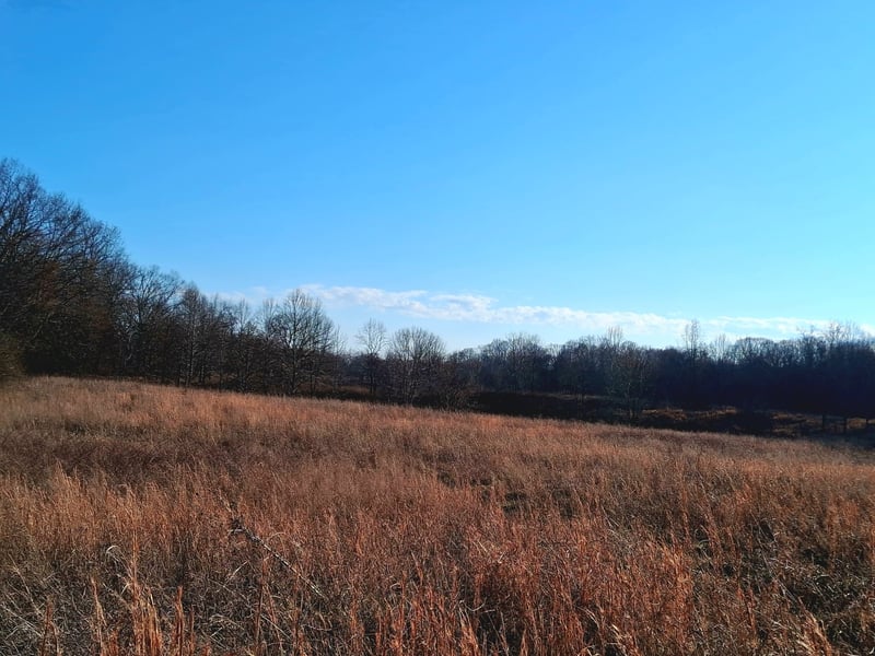 0 Burr Rd, Springfield, TN 37172