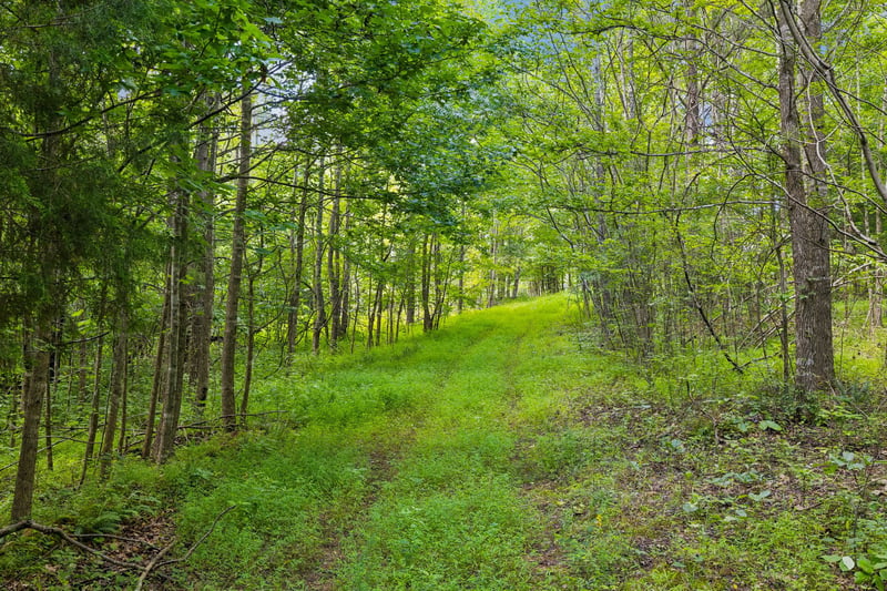 0 Mosley Ferry Rd Lot 4, Ashland City, TN 37015