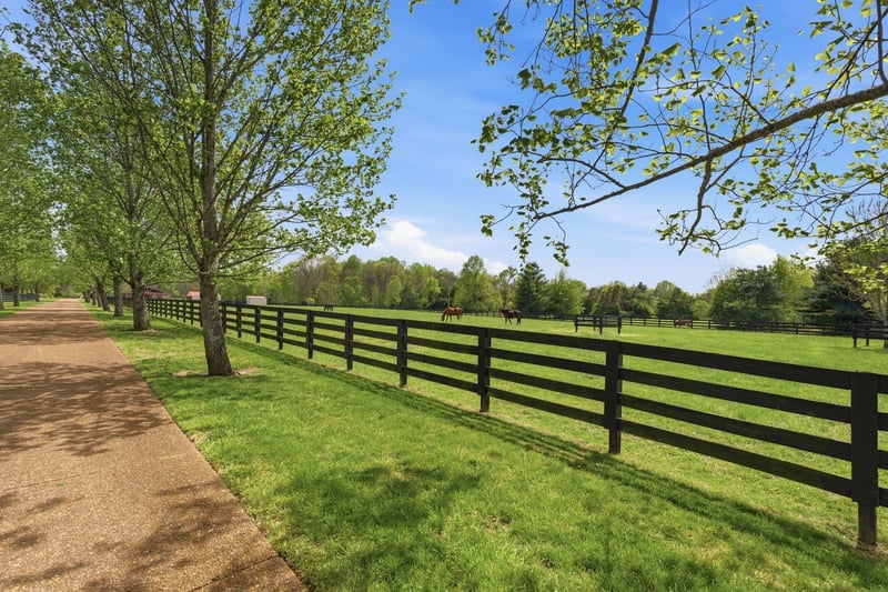 6520 Bridle Way Dr, College Grove, TN 37046