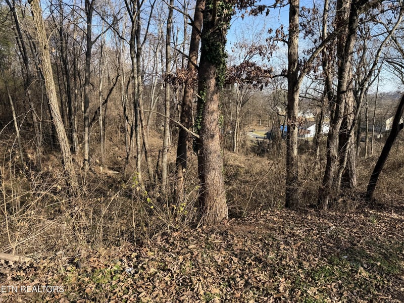 3436 Divide St Lot 52, Knoxville, TN 37921