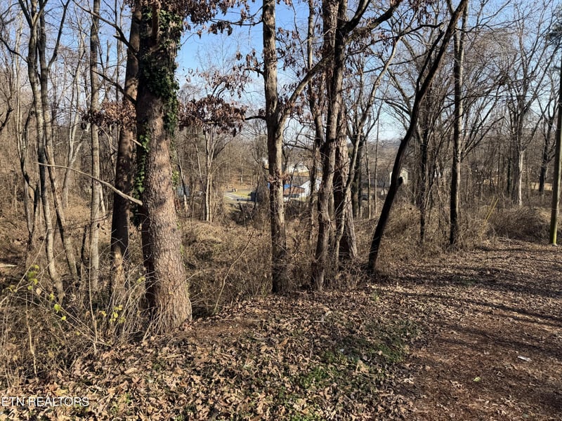 3436 Divide St Lot 52, Knoxville, TN 37921