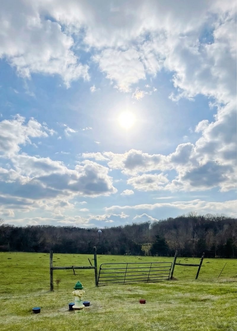 0 Versailles Rd, Rockvale, TN 37153