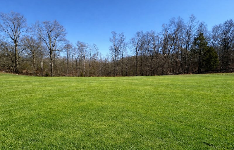 1028 Mount Vernon Rd, Bethpage, TN 37022