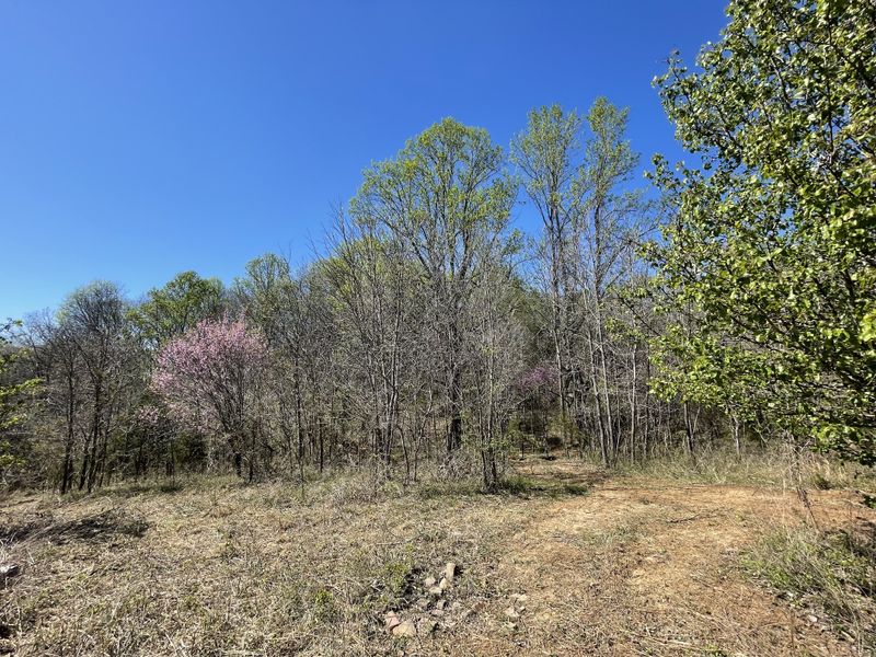 0 Kacie Dr, Pleasant View, TN 37146