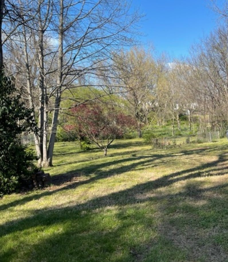 1007 Petway Ave NE, Nashville, TN 37206