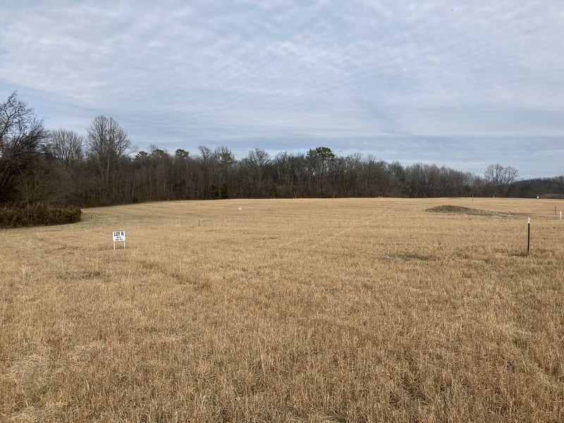 8 Southport Rd Lot 8, Mount Pleasant, TN 38474
