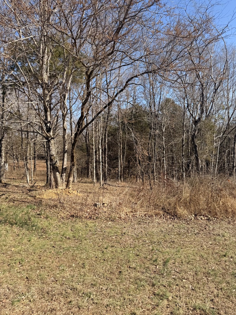 0 Gallion Rd, Cumberland Furnace, TN 37051