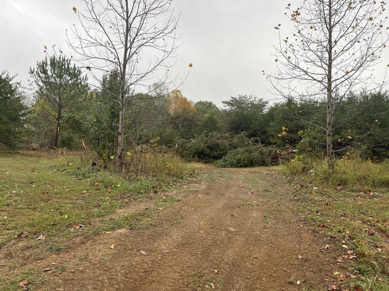 1414 Valley View Rd, Ashland City, TN 37015