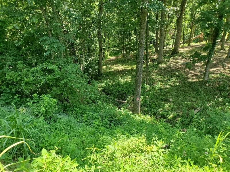 1930 Arlington Rd Lot B, Lebanon, TN 37087