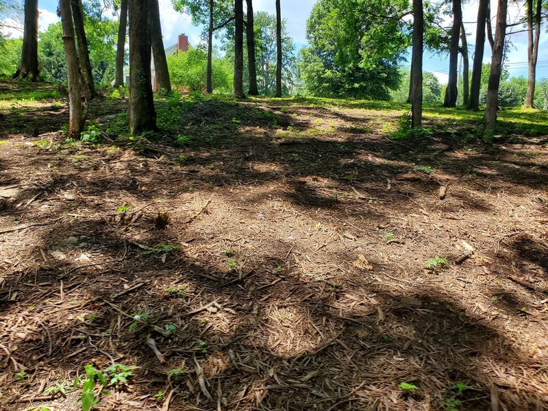 1930 Arlington Rd Lot B, Lebanon, TN 37087