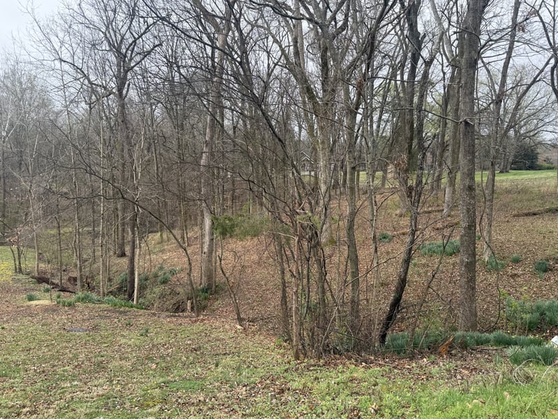 1930 Arlington Rd Lot B, Lebanon, TN 37087