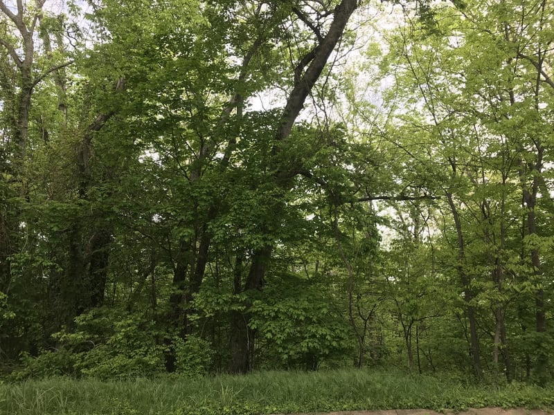 1915 Appomattox Dr Lot 122, Lebanon, TN 37087