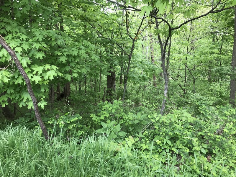 1915 Appomattox Dr Lot 122, Lebanon, TN 37087