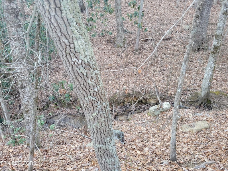 5 Swann Saddle Lot 5, Sevierville, TN 37876
