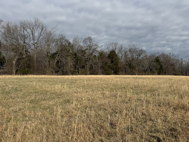 777 Mount Vernon Rd Lot 2, Bethpage, TN 37022