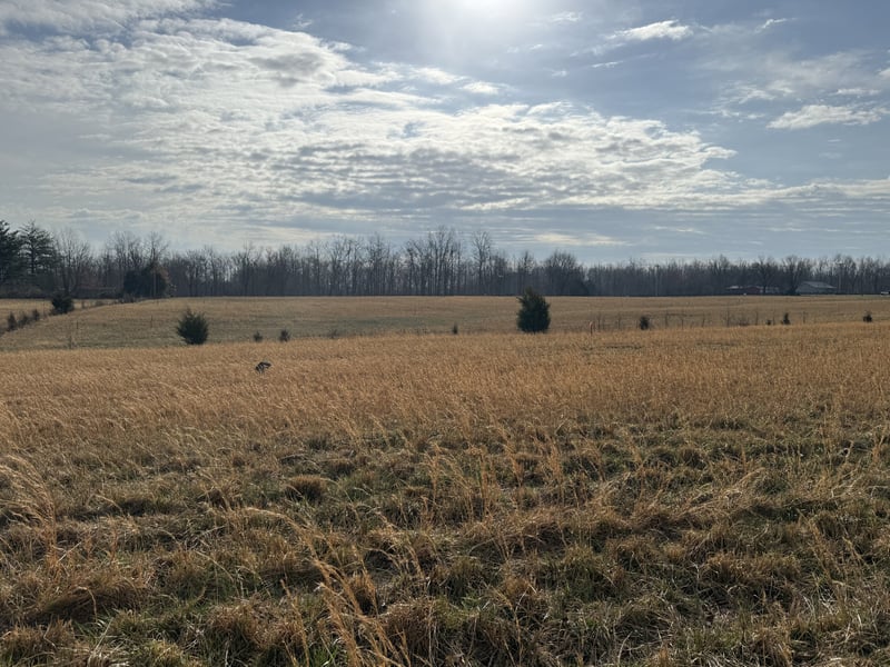 777 Mount Vernon Rd Lot 2, Bethpage, TN 37022