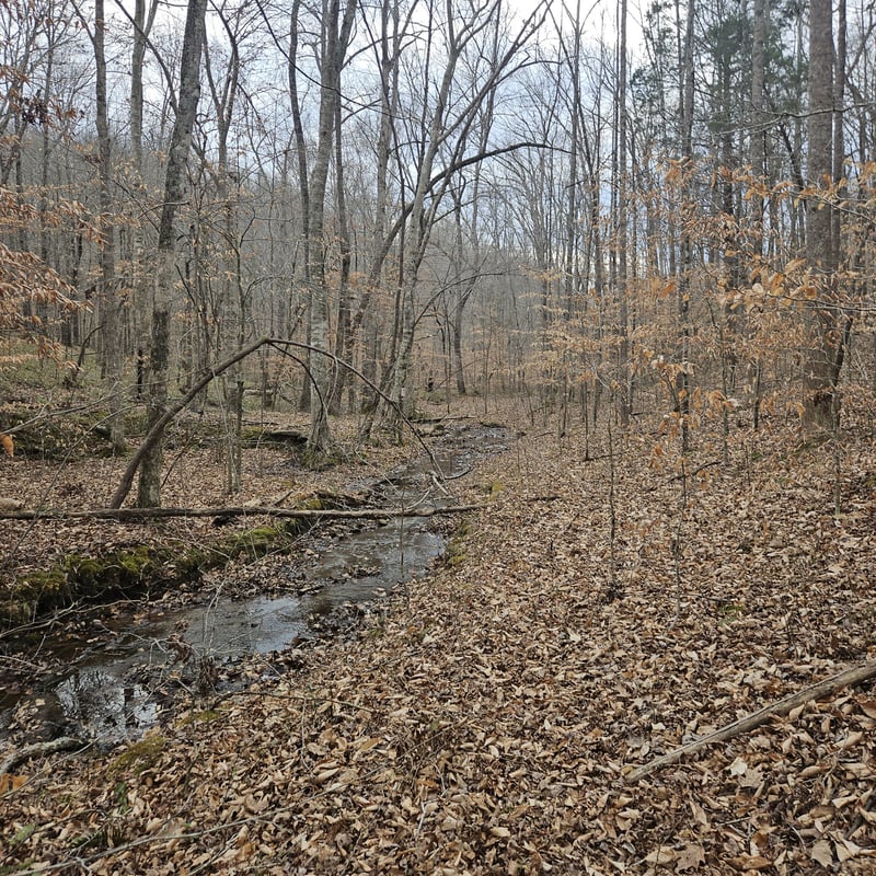 0 Jupiter Dr, Ashland City, TN 37015