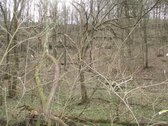 0 Rogues Fork Creek Rd, Bethpage, TN 37022