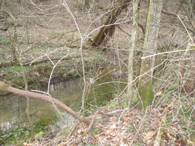 0 Rogues Fork Creek Rd, Bethpage, TN 37022